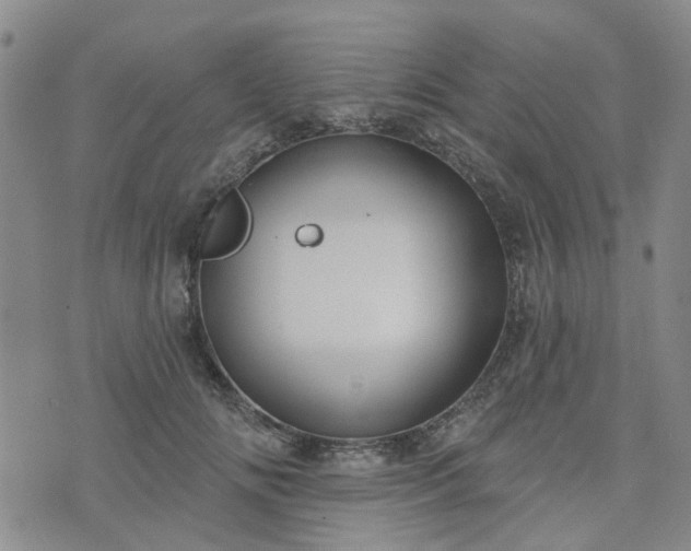 X0000076380702200610161115