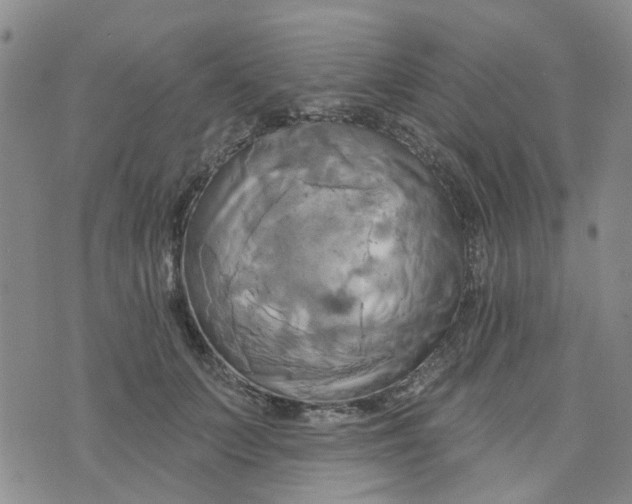 X0000076380703200610161115