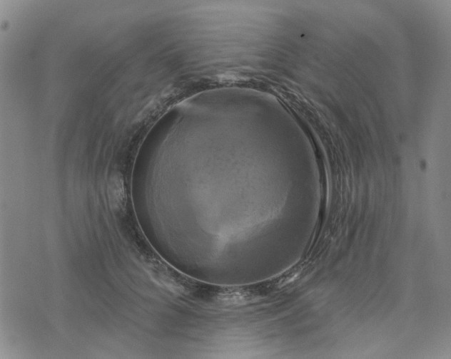 X0000076380704200610161115