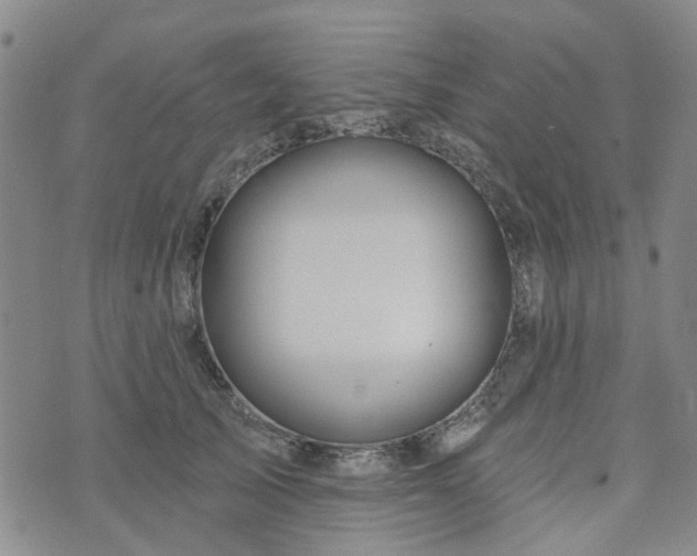 X0000076380705200610161115