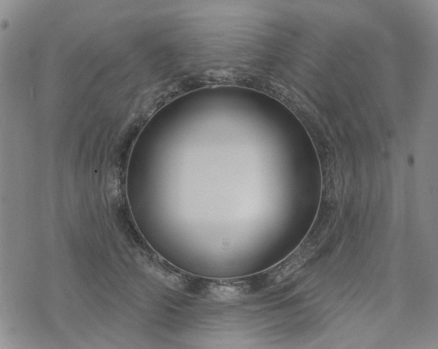 X0000076380706200610161115