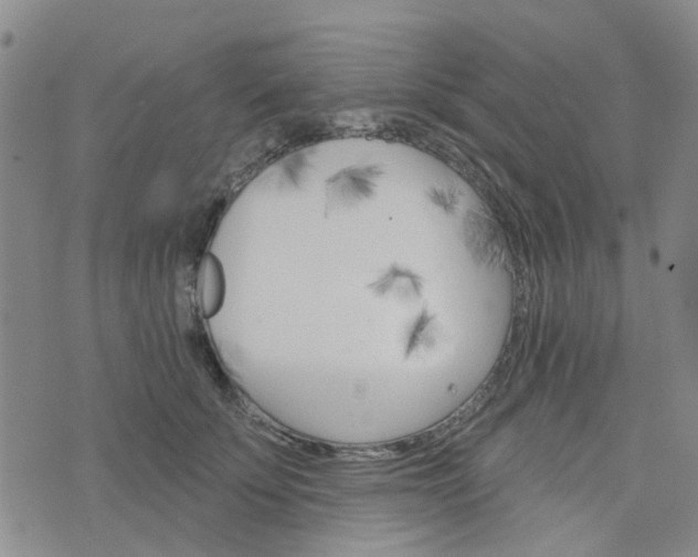 X0000076380707200610161115