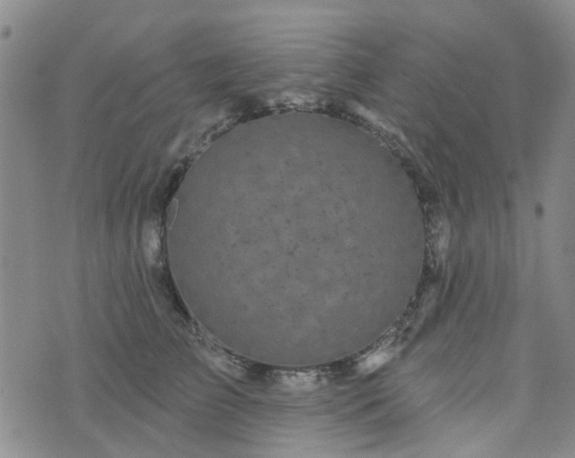 X0000076380709200610161115