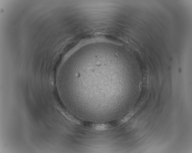 X0000076380710200610161115