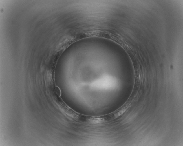 X0000076380711200610161115