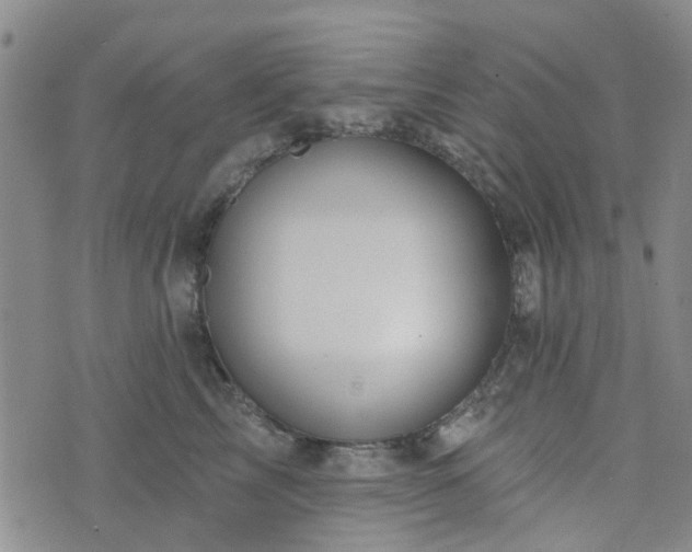 X0000076380713200610161115