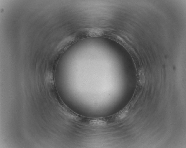 X0000076380714200610161115