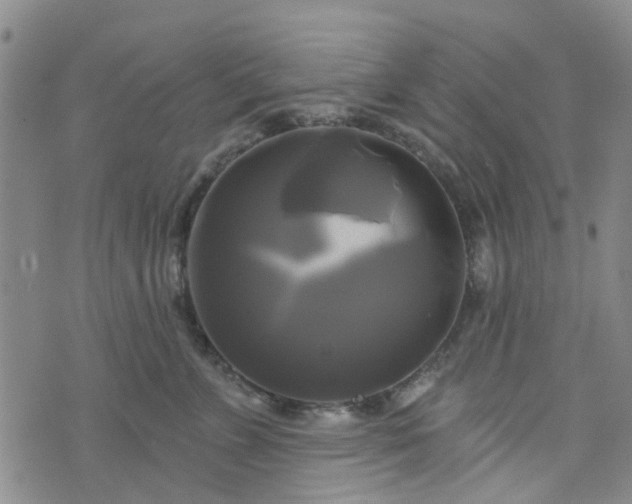 X0000076380715200610161115