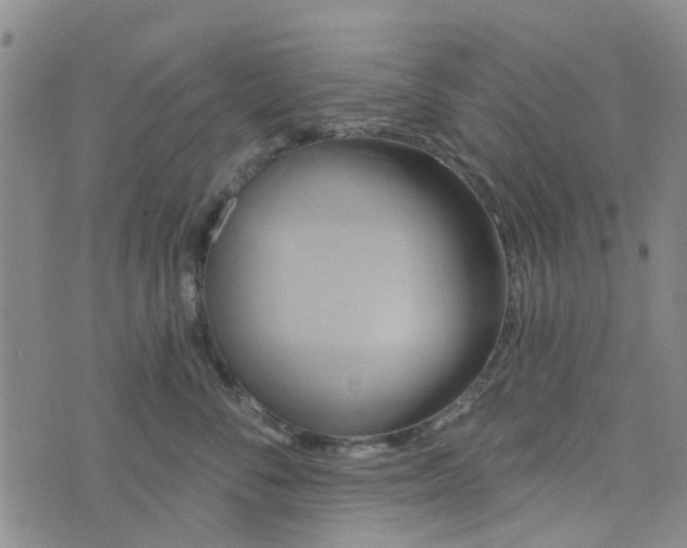 X0000076380716200610161115