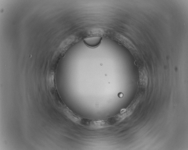 X0000076380717200610161115