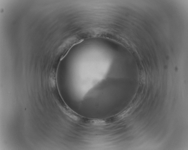 X0000076380719200610161115