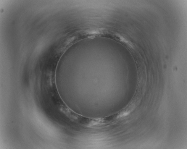 X0000076380720200610161115