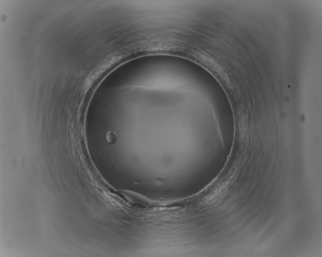 X0000076380721200610161114