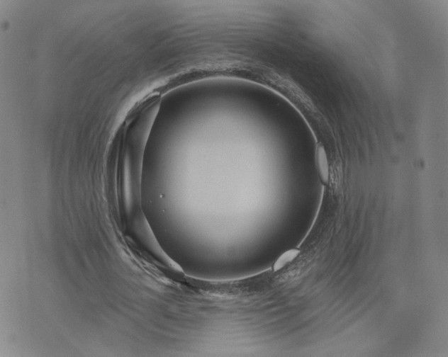 X0000076380724200610161114