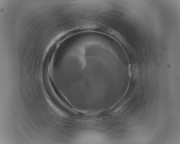 X0000076380726200610161114