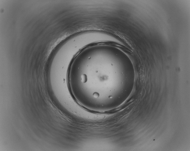 X0000076380727200610161114