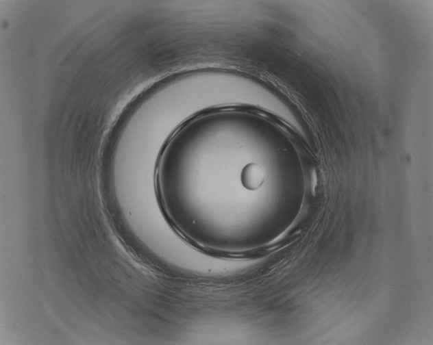 X0000076380728200610161114