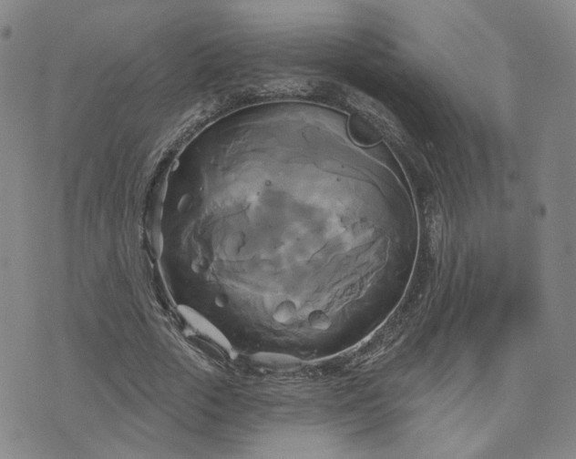 X0000076380729200610161114