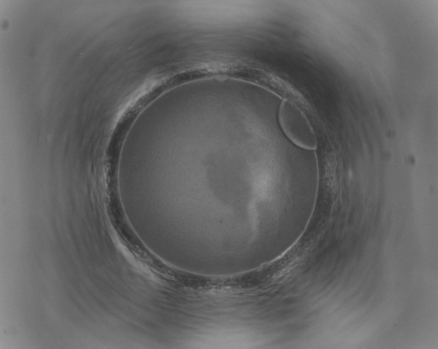 X0000076380730200610161114