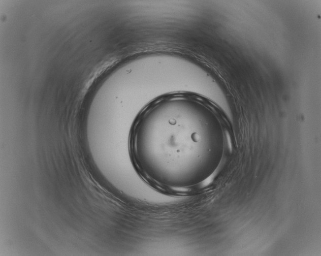 X0000076380731200610161114