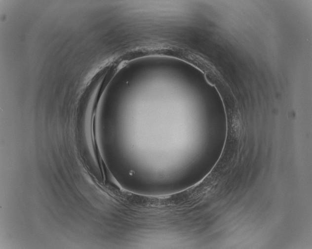 X0000076380732200610161114