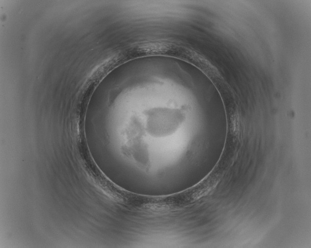 X0000076380733200610161114