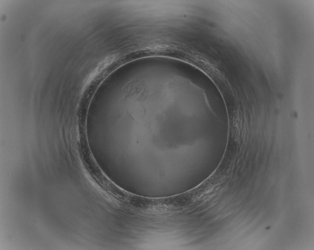 X0000076380734200610161114