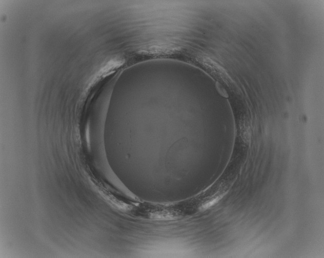 X0000076380735200610161114