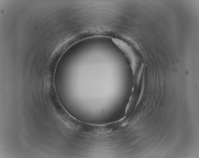 X0000076380736200610161114