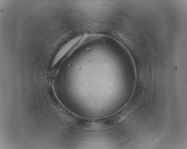 X0000076380737200610161114