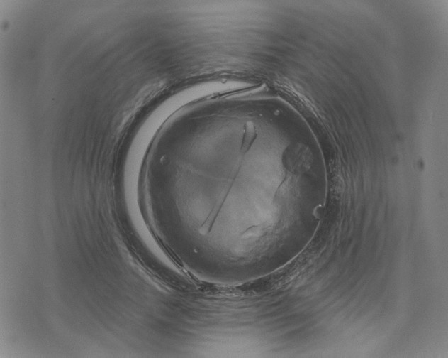 X0000076380738200610161114