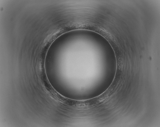 X0000076380740200610161114