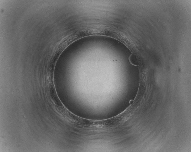 X0000076380741200610161114