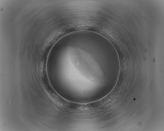 X0000076380742200610161114