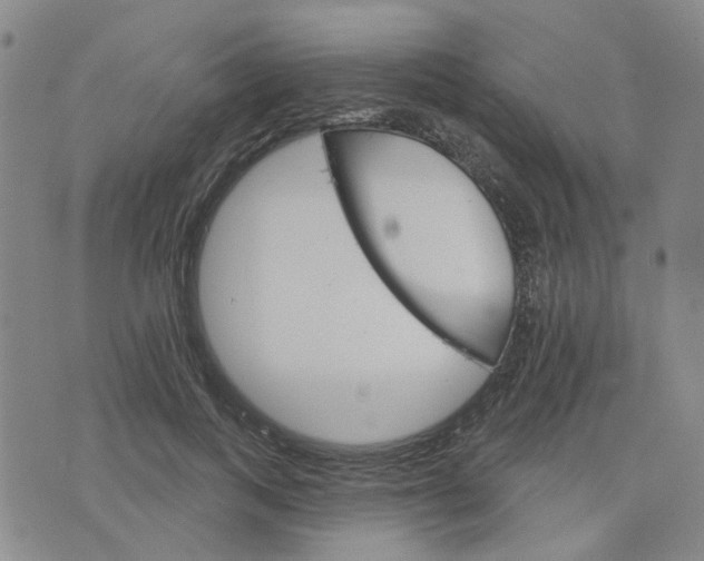 X0000076380743200610161114