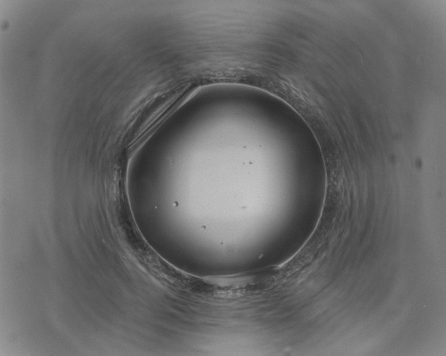 X0000076380744200610161114