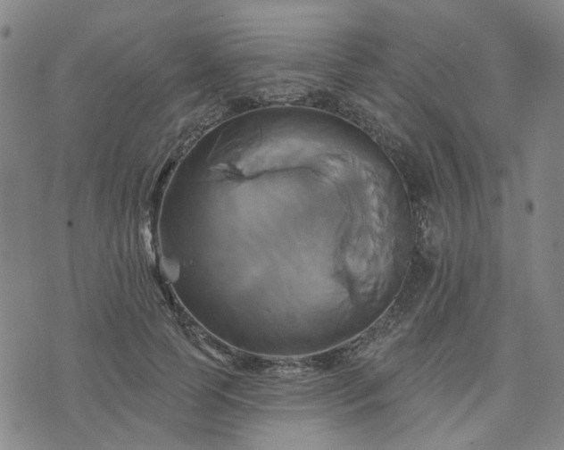 X0000076380745200610161114