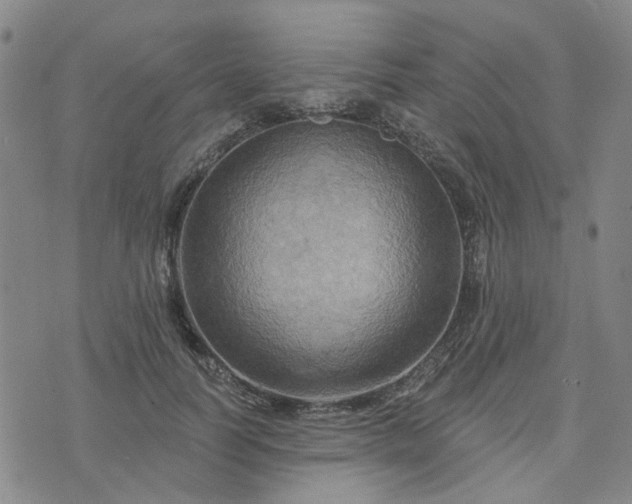 X0000076380746200610161114