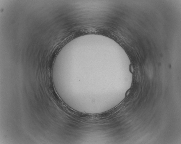 X0000076380747200610161114