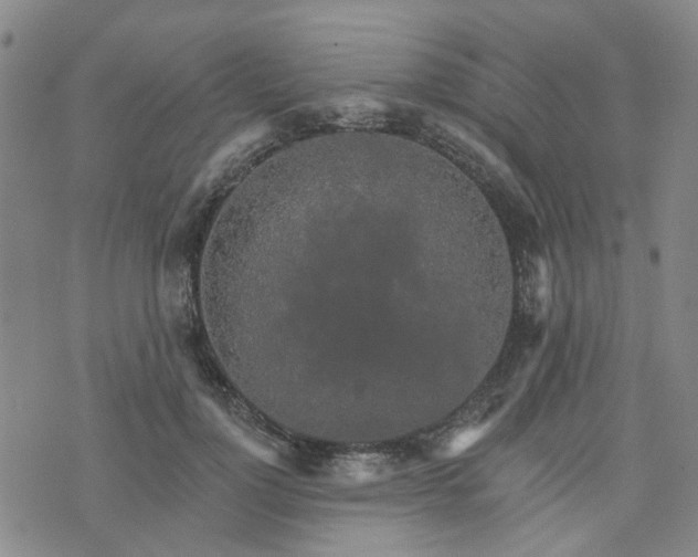 X0000076380748200610161114