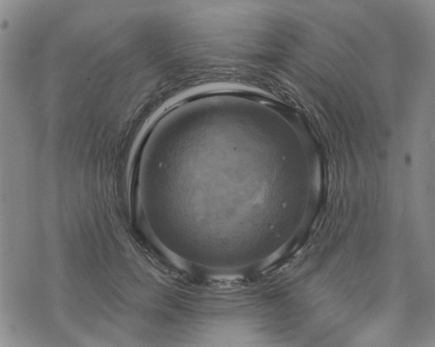 X0000076380750200610161115