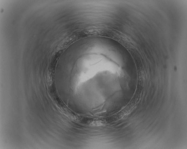 X0000076380751200610161115