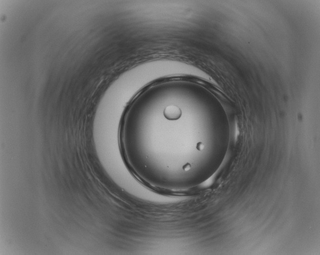 X0000076380752200610161115