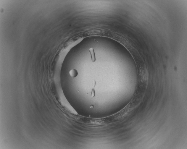 X0000076380753200610161115