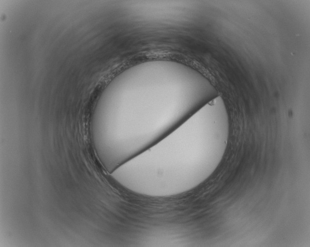 X0000076380755200610161115