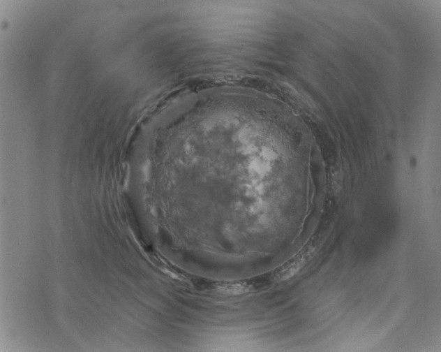 X0000076380757200610161115