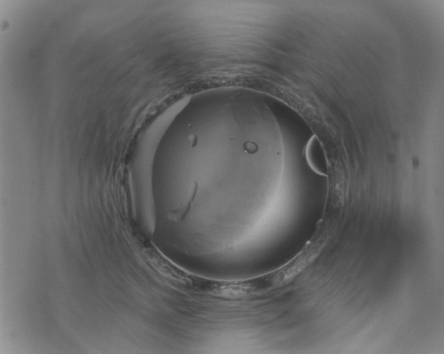 X0000076380758200610161115