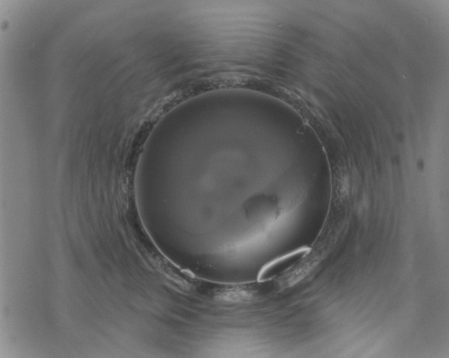 X0000076380759200610161115