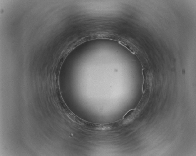 X0000076380760200610161115