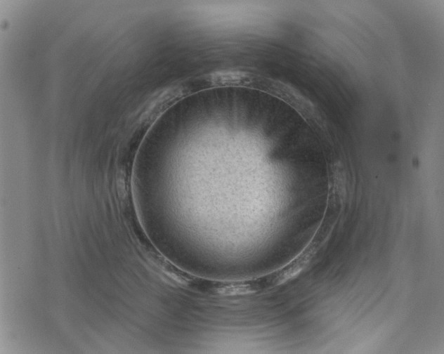 X0000076380761200610161115